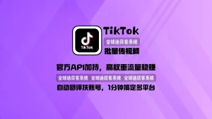 TikTok批量传视频：官方API加持，高权重流量稳赚，自动回评扶账号，1分钟搞定多平台！