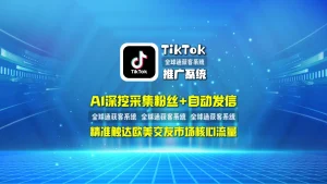 TikTok推广系统：AI深挖采集粉丝+自动发信，精准触达欧美交友市场核心流量
