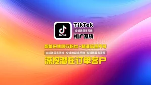 TikTok推广系统：智能采集同行粉丝+精准标签养号，深挖潜在订单客户