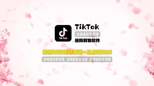 TikTok矩阵群发软件：私信连WS+性别年龄定向筛选，提升回复率