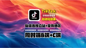 TikTok自动化脚本案例：私信连独立站+定向地区，同时筛B端+C端