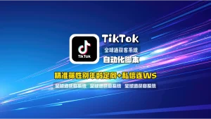 TikTok自动化脚本：精准筛性别年龄定向+私信连WS