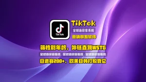 TikTok营销群发软件：筛性别年龄，外链直跳WSTG，日进客200+，欧美日韩打粉靠它