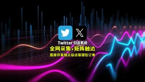 Twitter引流系统：全网采集+矩阵触达，直接开发独立站访客潜在订单