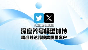 Twitter精聊系统：深度养号模型加持，精准触达跨境高质量客户