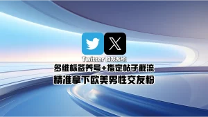 Twitter群发系统：多维标签养号+指定帖子截流，精准拿下欧美男性交友粉