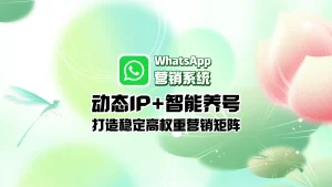 WhatsApp营销系统：动态IP+智能养号，打造稳定高权重营销矩阵