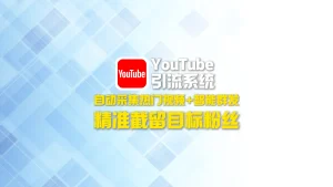 YouTube引流系统：自动采集热门视频+智能群发，精准截留目标粉丝！
