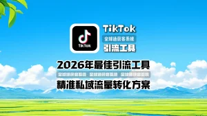 2026年最佳TikTok引流工具推荐精准私域流量转化方案