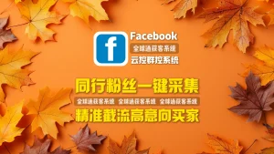 Facebook云控群控系统：同行粉丝一键采集，精准截流高意向买家