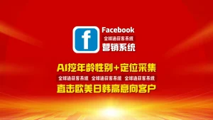 Facebook营销系统：AI挖年龄性别+定位采集，直击欧美日韩高意向客户