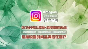 Instagram推广系统：热门帖子粉丝挖掘+多线程强制私信，精准收割时尚品类潜在客户