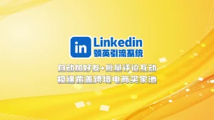 Linkedin领英引流系统：自动加好友+批量评论互动，极速覆盖跨境电商买家池