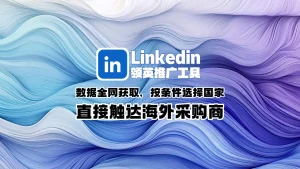 Linkedin领英推广工具：数据全网获取，按条件选择国家，直接触达海外采购商