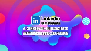 Linkedin领英精聊系统：6.0指纹隔离+矩阵动态投放，直接触达全球B2B采购链
