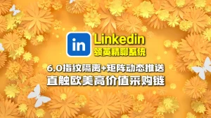 Linkedin领英精聊系统：6.0指纹隔离+矩阵动态推送，直触欧美高价值采购链！