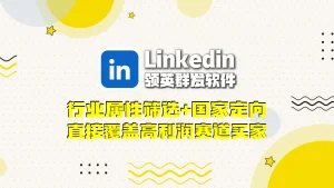 Linkedin领英群发软件：行业属性筛选+国家定向，直接覆盖高利润赛道买家