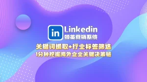Linkedin领英营销系统：关键词抓取+行业标签筛选，1分钟挖掘海外企业关键决策链