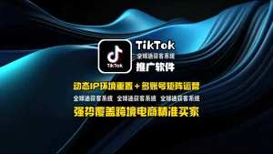 TikTok推广软件：动态IP环境重置＋多账号矩阵运营，强势覆盖跨境电商精准买家