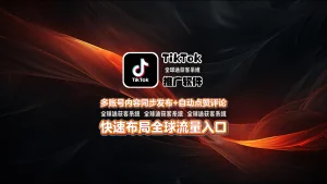 TikTok推广软件：多账号内容同步发布+自动点赞评论，快速布局全球流量入口