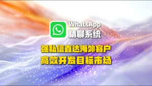 WhatsApp精聊系统：强私信直达海外客户，高效开发目标市场