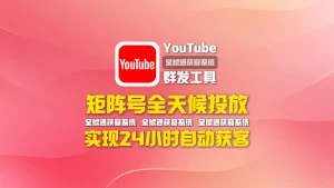 youtube群发工具：矩阵号全天候投放，实现24小时自动获客