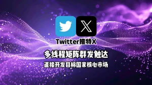 推特X营销软件：多线程矩阵群发触达，直接开发目标国家核心市场
