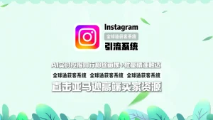 Instagram引流系统：AI实时挖掘同行粉丝画像+批量精准触达，直击亚马逊高端买家资源