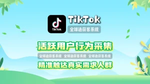 TikTok引流工具：活跃用户行为采集，精准触达真实需求人群