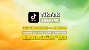 TikTok引流软件：协议采集竞品粉丝+AI智能互动，精准触达目标客户群体