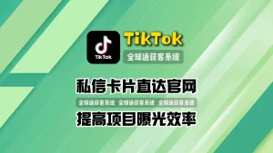 TikTok推广工具：私信卡片直达官网，提高项目曝光效率