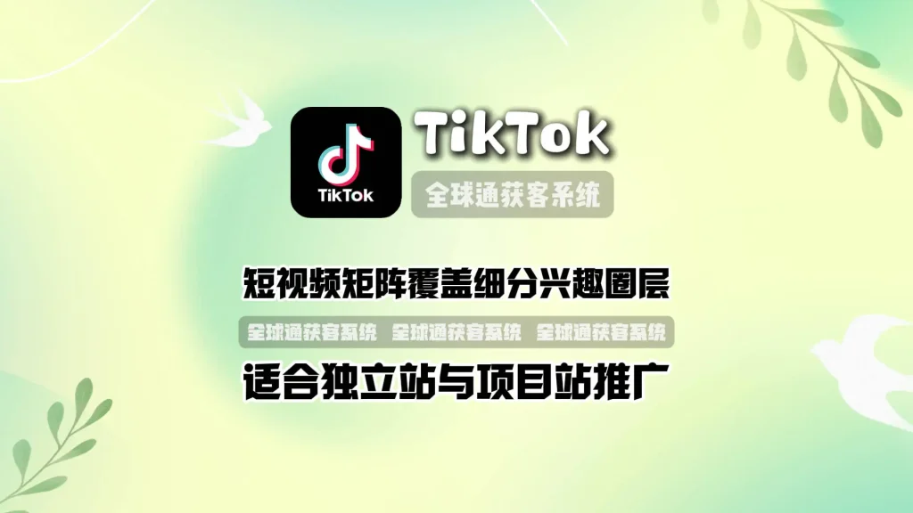 TikTok推广系统：短视频矩阵覆盖细分兴趣圈层，适合独立站与项目站推广