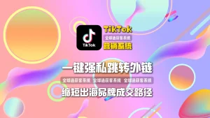 TikTok+独立站新模式：TikTok营销系统一键跳转外链，缩短出海品牌成交路径