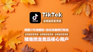 TikTok群发系统：跨国IP环境模拟+协议采集同行粉丝，精准挖走竞品核心用户