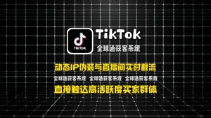 TikTok营销系统：动态IP伪装与直播间实时截流，直接触达高活跃度买家群体