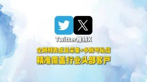Twitter推广系统：全网列表成员采集+多账号私信，精准覆盖行业头部客户
