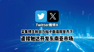 Twitter群发工具：采集博主粉丝与帖子截流双管齐下，直接触达开发东南亚市场