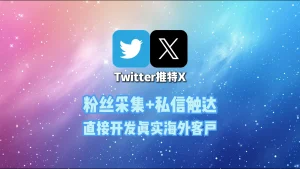 Twitter获客系统：粉丝采集+私信触达，直接开发真实海外客户