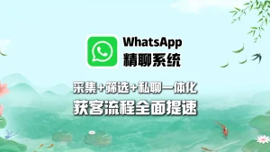 WhatsApp精聊系统：采集+筛选+私聊一体化，获客流程全面提速