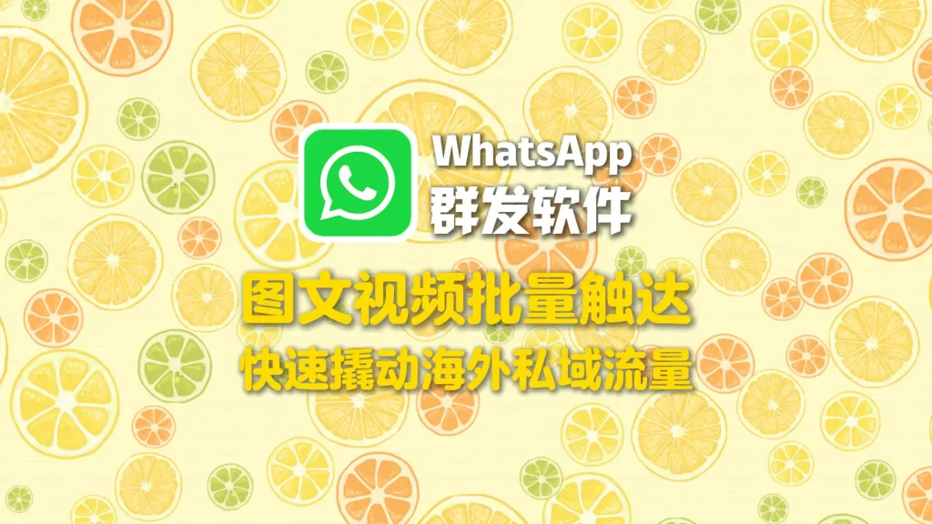 WhatsApp群发软件：图文视频批量触达，快速撬动海外私域流量