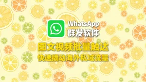 WhatsApp群发软件：图文视频批量触达，快速撬动海外私域流量