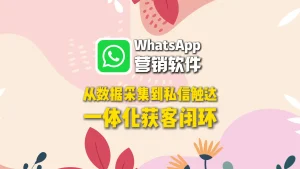 WhatsApp营销软件：从数据采集到私信触达，一体化获客闭环