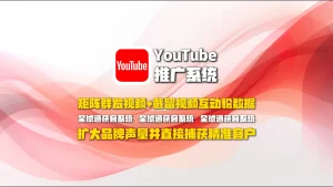 YouTube推广系统：矩阵群发视频+截留视频互动粉数据，扩大品牌声量并直接捕获精准客户