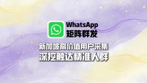 新加坡高价值用户怎么找？WhatsApp矩阵群发深挖精准人群