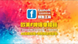 欧美F牌爆单秘籍：Facebook引流系统AI数据挖掘+矩阵触达双引擎