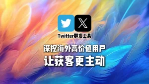 深挖海外高价值用户，Twitter群发工具让获客更主动