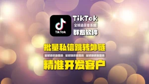 独立站如何高效引流？TikTok群发软件批量私信跳转外链，精准开发客户