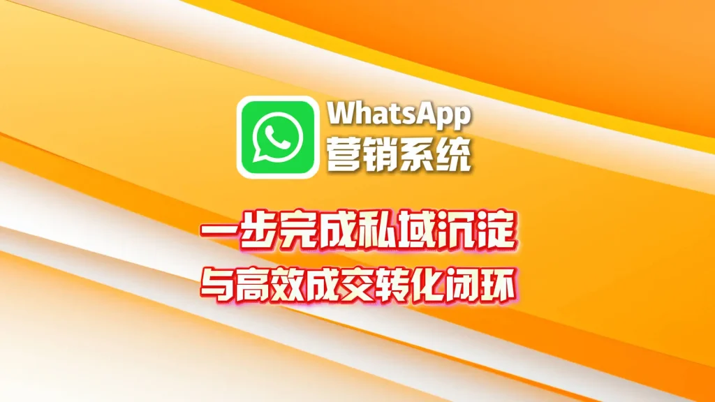 私域沉淀与成交闭环，WhatsApp营销系统一步完成