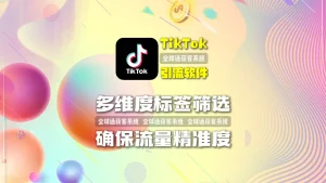 跨境电商如何精准触达目标客户？TikTok引流软件多维度标签筛选，确保流量精准度