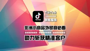 非洲小商品外贸商必看！TikTok群发系统如何助力30天斩获10万精准客户？